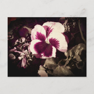 Simple Purple Postcard