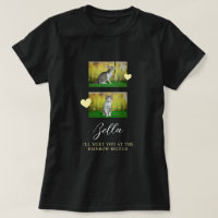Simple Rainbow Bridge Cat Memorial