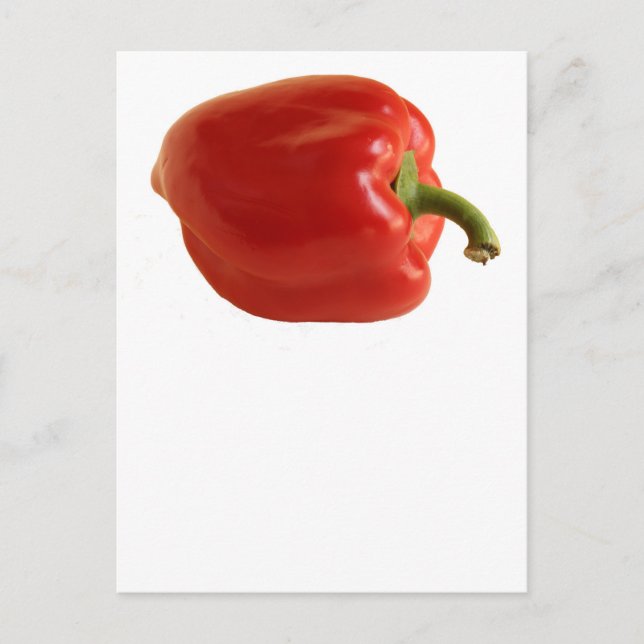Simple Red Bell Pepper Photo on White Postcard (Front)