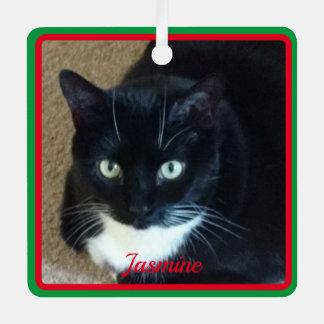 Simple red green border pet photo and name metal ornament