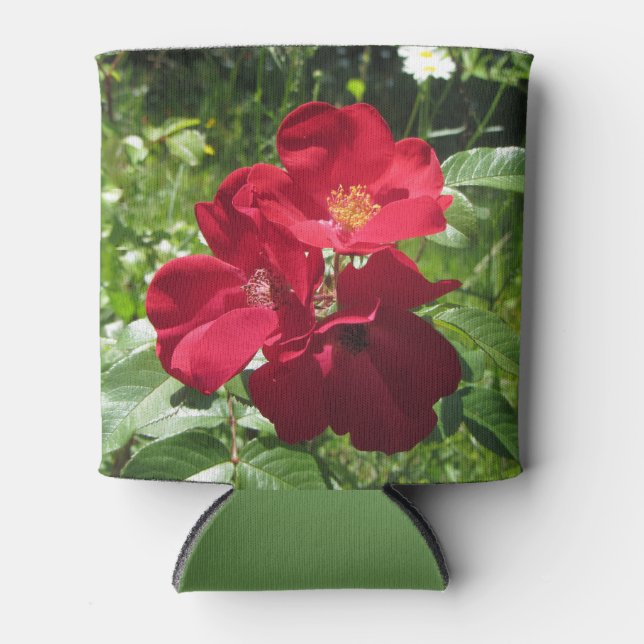 Simple Red Roses Can Cooler (Front)