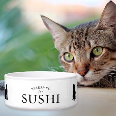 Simple Reserved for Custom Cat Bowl