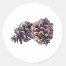 Simple rustic watercolor pine cone Sticker Seal