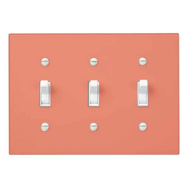 Simple Salmon Authority® 3 Toggle Light Switch Cover (In Situ)