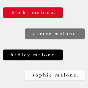 Simple School Colors Waterproof Name Labels
