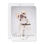 Simple Script Pet Memorial Photo Thank You