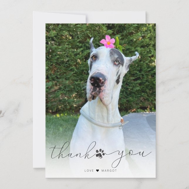 Simple Script Pet Memorial Photo Thank You Card (Front)