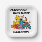 Simple Sesame Street Pals 1st Birthday