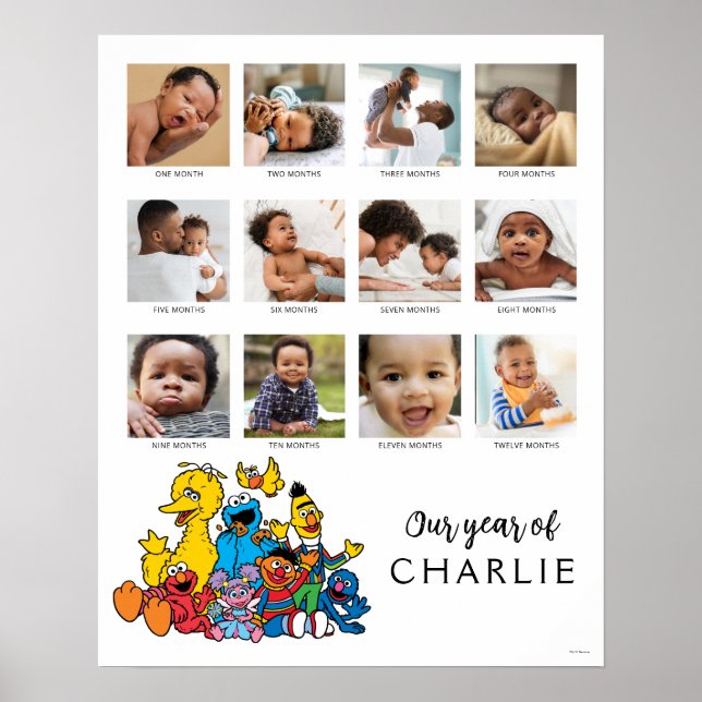 Simple Sesame Street Pals 1st Birthday Poster (Front)