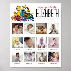 Simple Sesame Street Pals 1st Birthday Poster