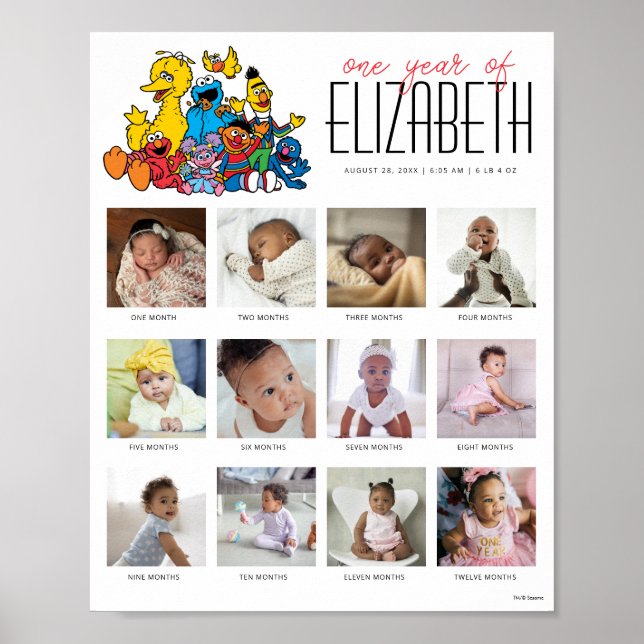 Simple Sesame Street Pals 1st Birthday Poster (Front)