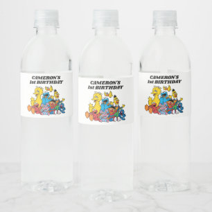 Simple Sesame Street Pals 1st Birthday Water Bottle Label