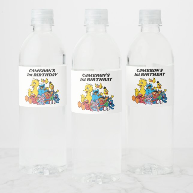 Simple Sesame Street Pals 1st Birthday Water Bottle Label (Bottles)