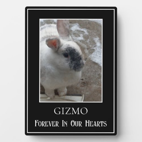 Simple Single Photo Pet Rabbit Memorial Plaque