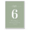 Simple Solid Color Light Leaf Green Wedding