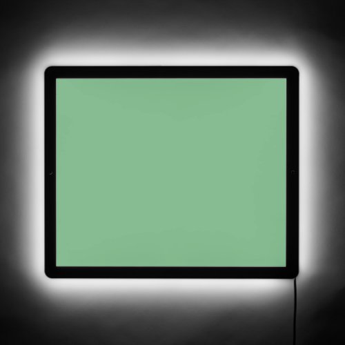 Simple solid color plain Absinthe pastel Green LED Sign