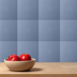 Simple solid color plain slate blue ceramic tile