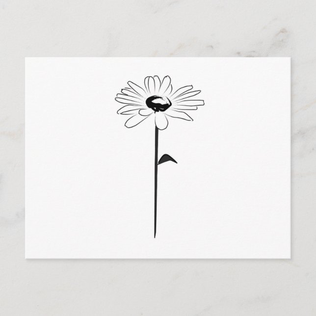 Simple Spring Daisy Postcard (Front)