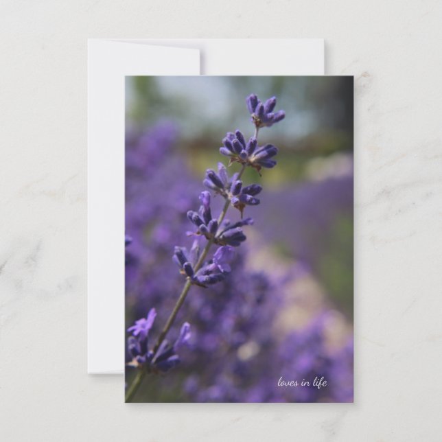 Simple Stem of Lavender Note Card (Front)