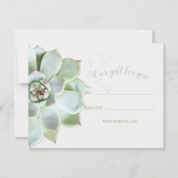 Simple Succulent Business Gift Certificates by daphne1024 at Zazzle