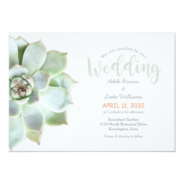 Simple Succulent Country Wedding Invitation