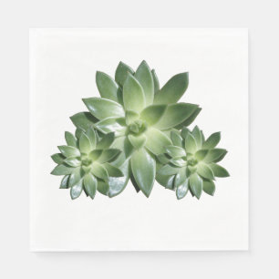 Simple Succulent Paper Napkins