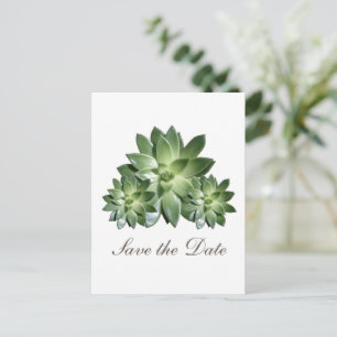 Simple Succulent Save the Date Invite