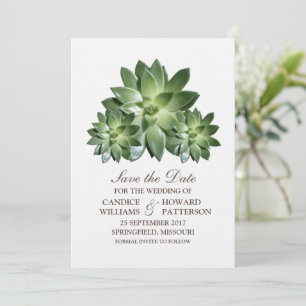 Simple Succulent Save the Date Invite