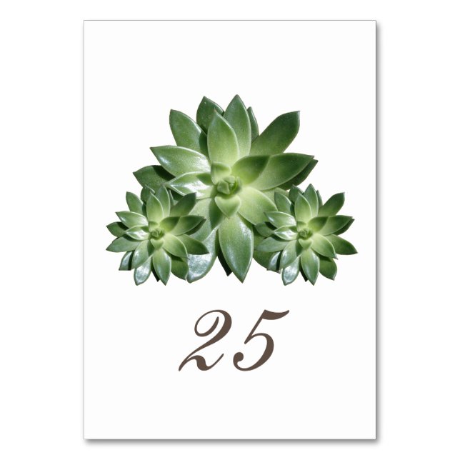 Simple Succulent Wedding Table Card (Front)