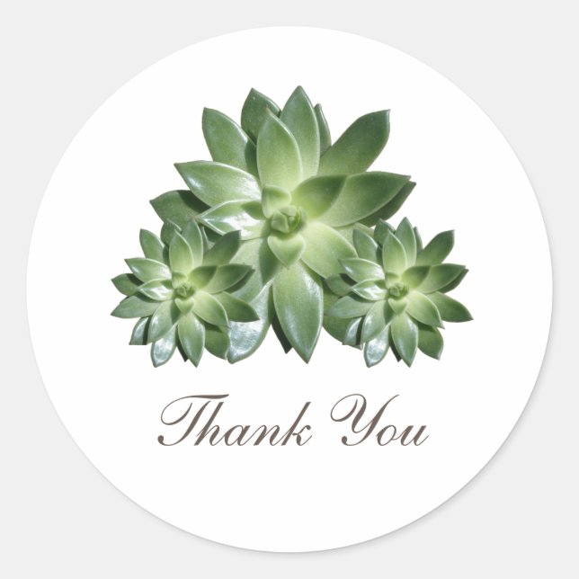 Simple Succulent Wedding Thank You Stickers (Front)
