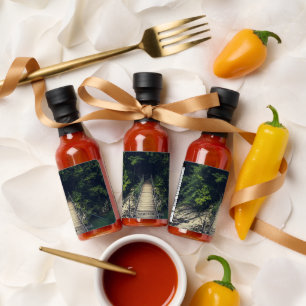 Simple suspension bridge over river Idrijca, Slove Hot Sauces