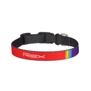 Simple & symetric rainbow custom name Elegant Gay Pet Collar