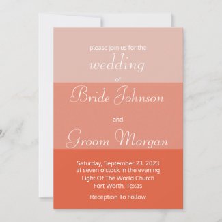 Simple Terracotta Ombre Rustic Elegant Wedding