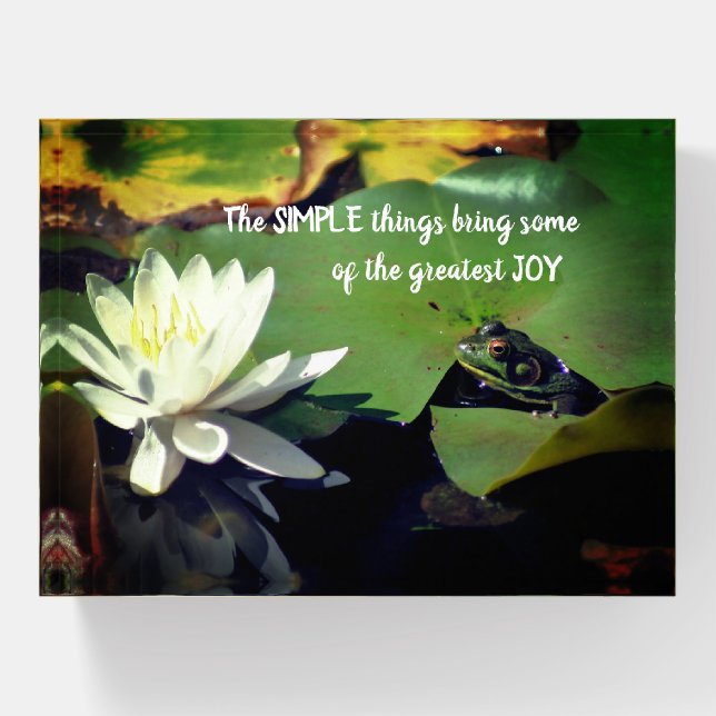 Simple Things Frog Inspirational Quote  Paperweight (Front)