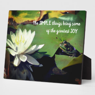 Simple Things Frog Inspirational Quote Plaque