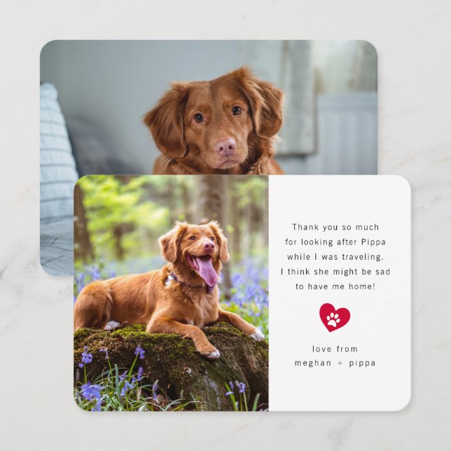 Simple Two Photo Pet Sitter Thank You Card (Front/Back)