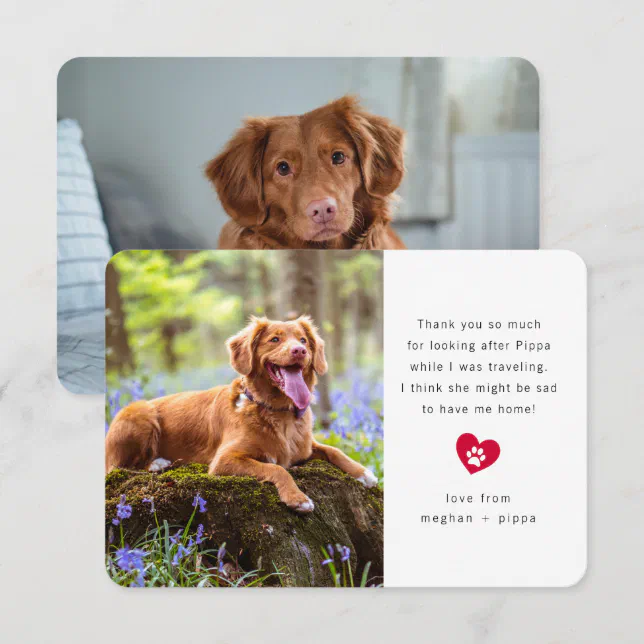 10 Must-Have Products Your Dog Wants To Thank You For! - Furry Folly