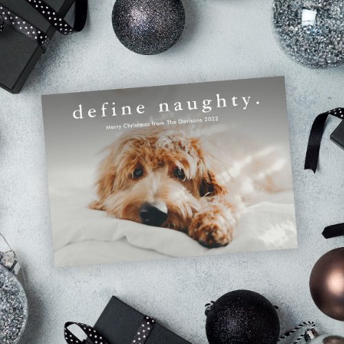 Simple Type Funny Pet Christmas  Holiday Card