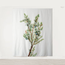 Simple Vintage Botanical Mountain Juniper