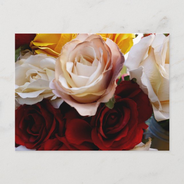 Simple Watercolor Flower Postcard  (Front)