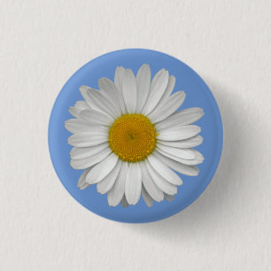 Simple White Daisy Flower on Light Blue Button