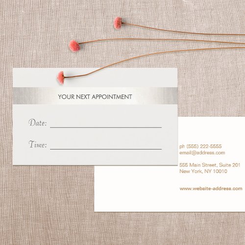 Simple White Modern FAUX Silver Stripe Appointment