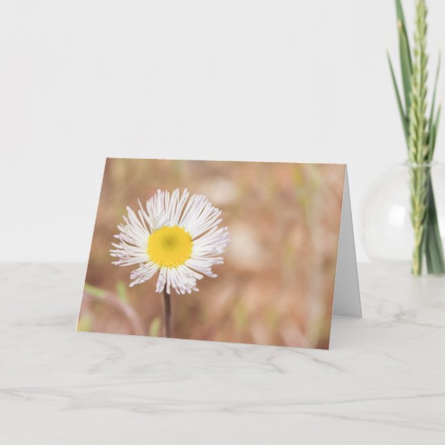 Simple Wild White Daisy Flower Any Occasion Card (Front)