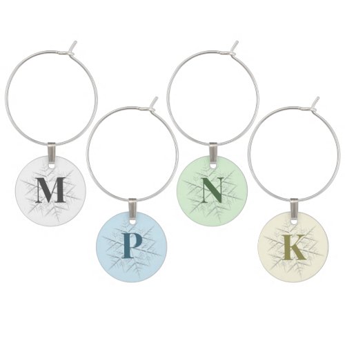 Simple Winter Silver Snowflakes Colorful Monogram Wine Charm