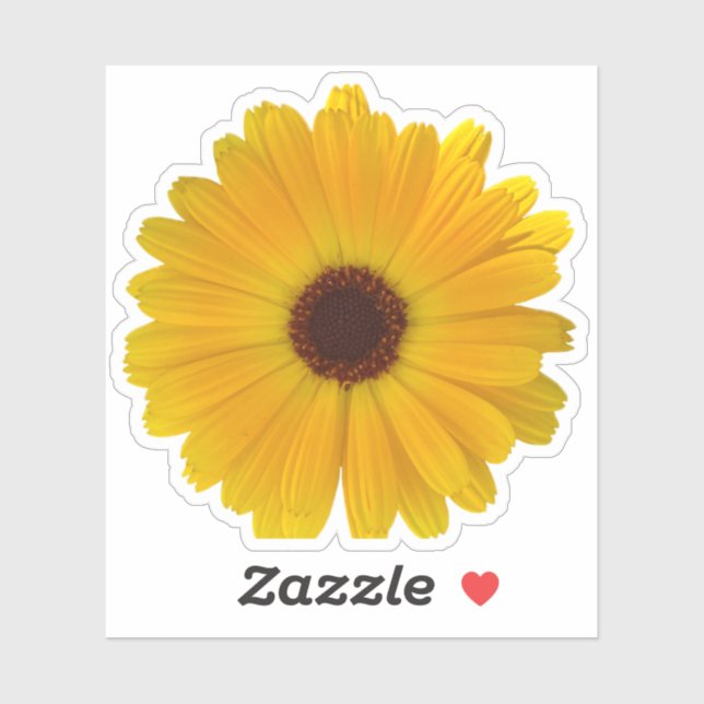 Simple Yellow Daisy Sticker (Sheet)
