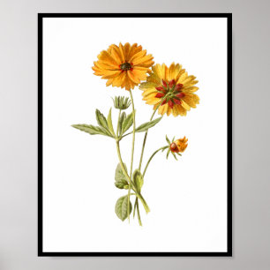 Simple Yellow Flowers Floral Poster