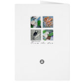 SimplePleasuresFrom the Sea (Back)