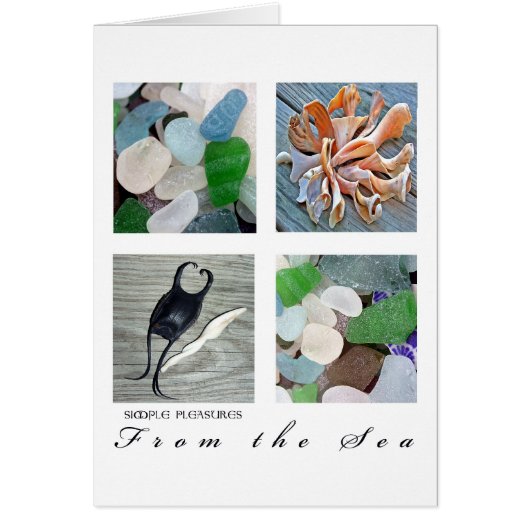 SimplePleasuresFrom the Sea Cards (Front)