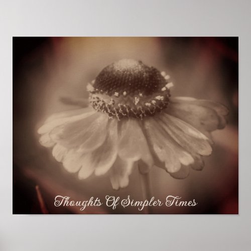 Simpler Times Sepia Zinnia Flower Nostalgia  Poster