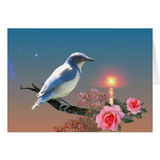 Simplicity Cards